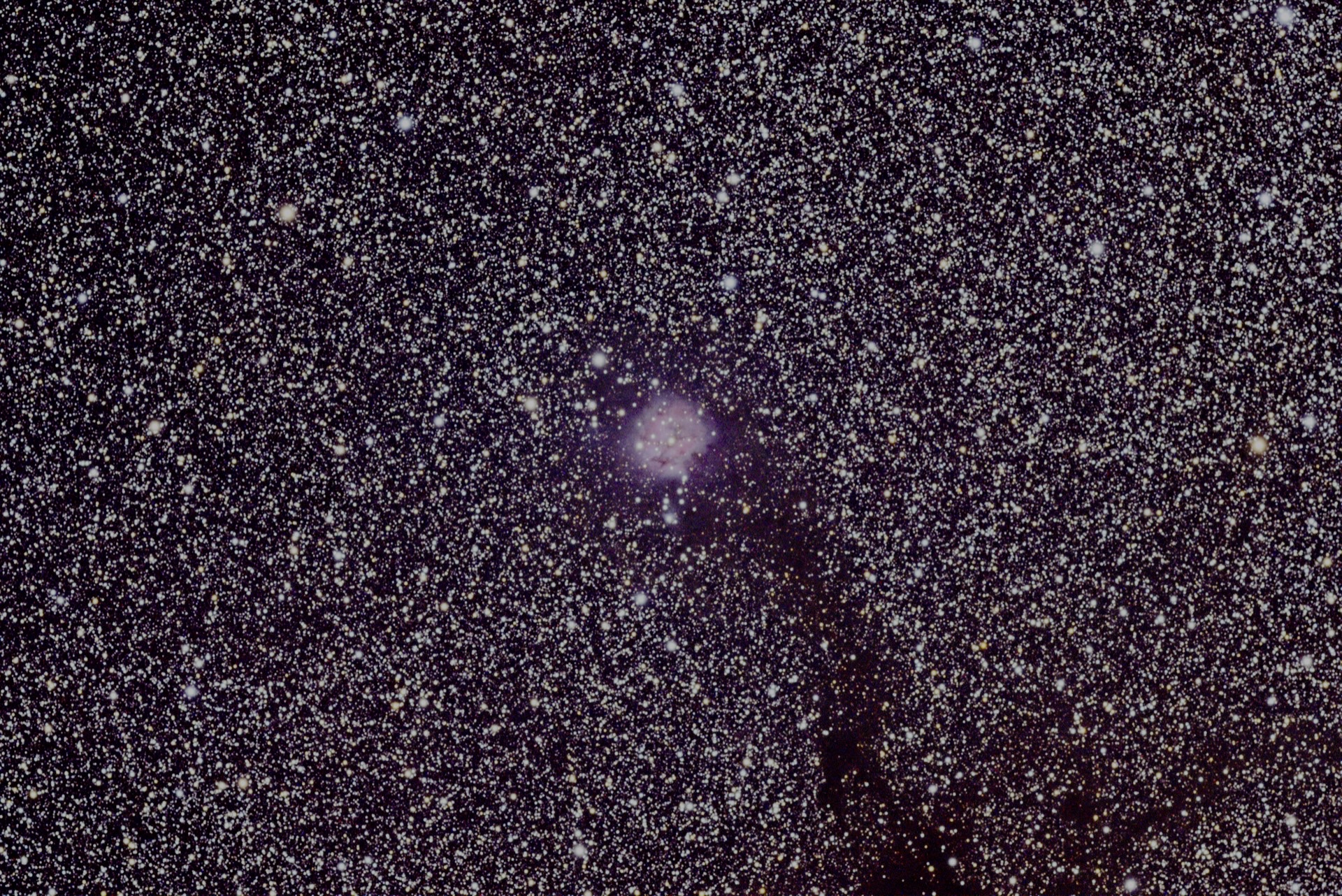 The Cocoon Nebula, a small glow at the end of a dark lane.