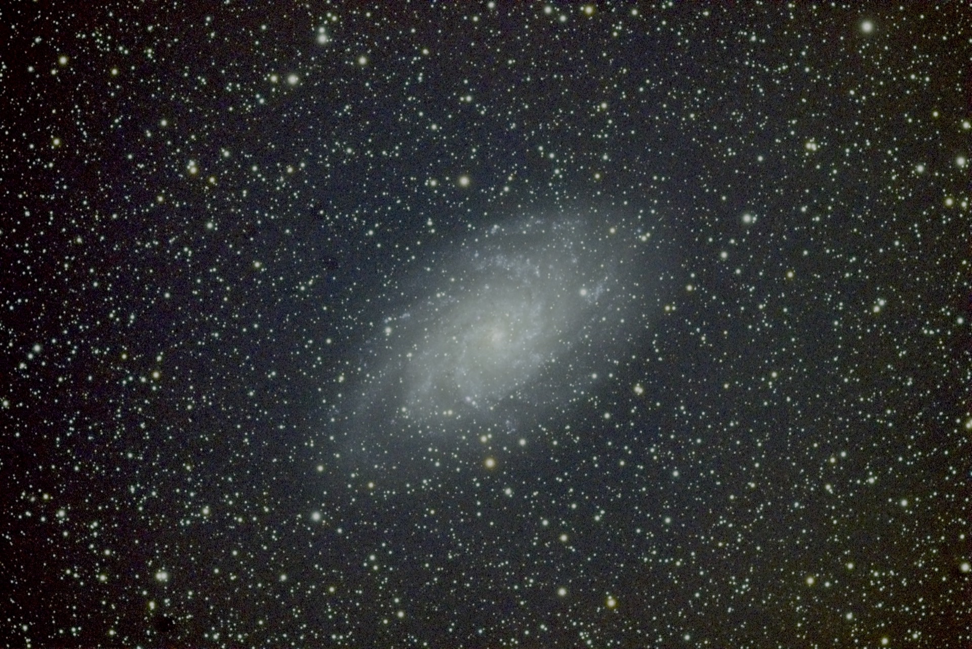 The Triangulum Galaxy, a soft spiral seen nearly face-on among dense stars.