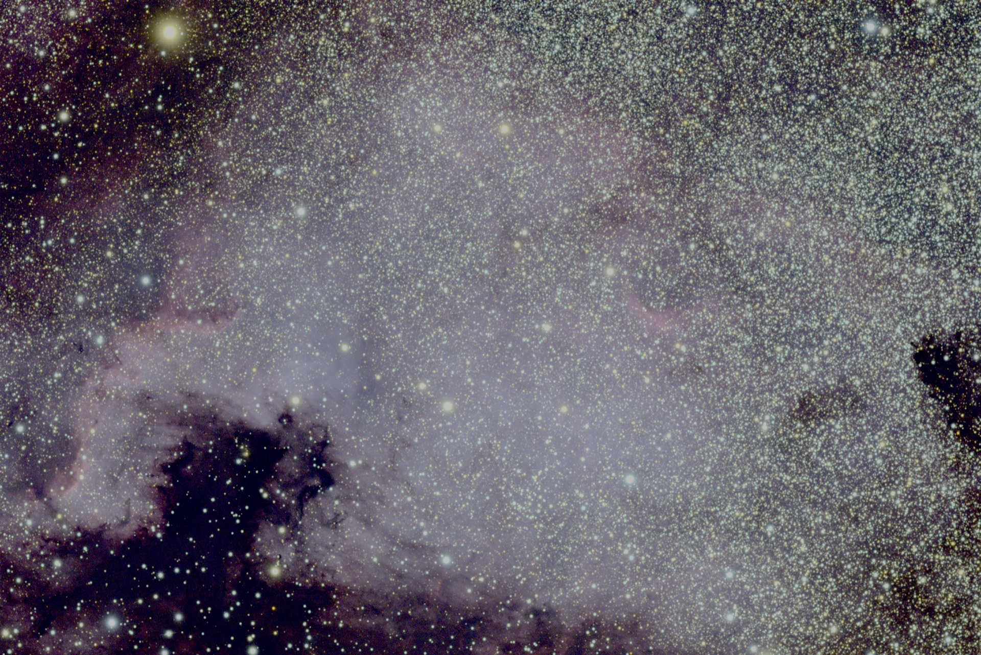 The North America Nebula, a wide field of pale hydrogen and dark dust.